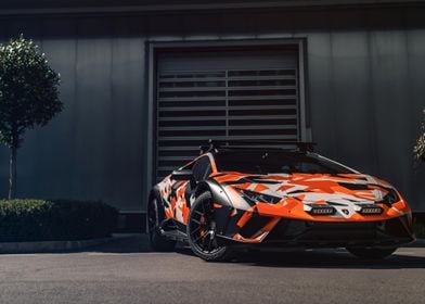 Camouflaged Lamborghini