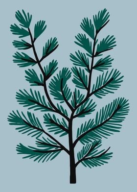 Pine Tree Illustration