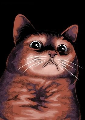 Surprised Cat Illustration meme