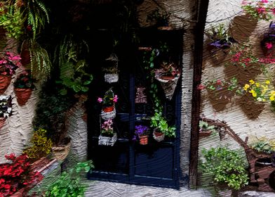 Doorway with Flowers