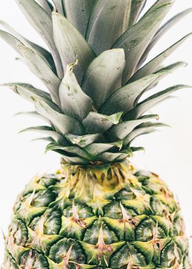 Close-up Pineapple