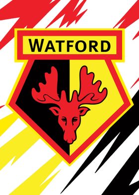 Watford FC 