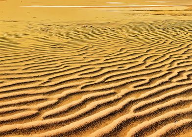 Sand Dune Texture