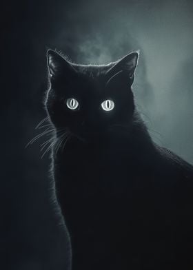 Black Cat Portrait