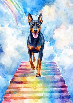 Doberman Rainbow Bridge