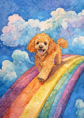 Poodle on Rainbow Bridge