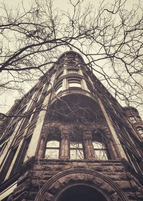 Old Building with Bare Tree