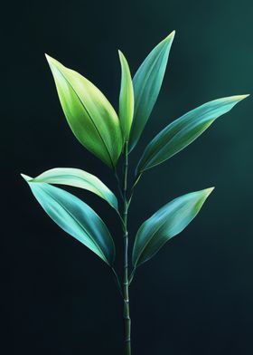 Green Plant on Black Background