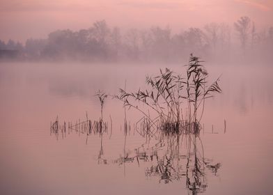 Misty Lake at Dawn