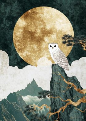 Owl on Mountain Peak