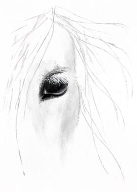 Horse Eye Close-Up