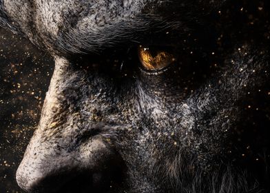 Werewolf Close-Up