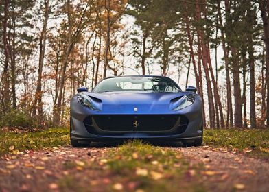 Ferrari in Forest