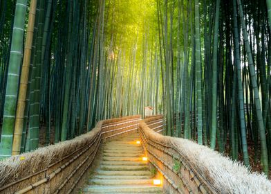 Bamboo Forest Path