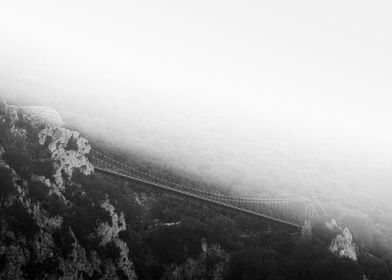 Foggy Bridge