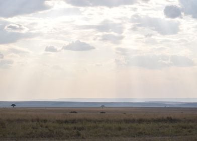 African Savanna Landscape