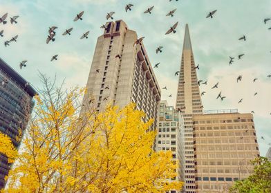 Cityscape with Birds