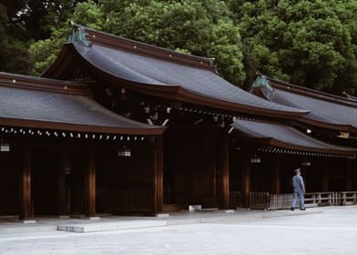 Meiji Shadows