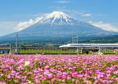 Mount Fuji &amp; Bullet Train