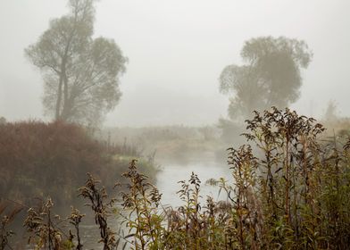 Misty River Scene