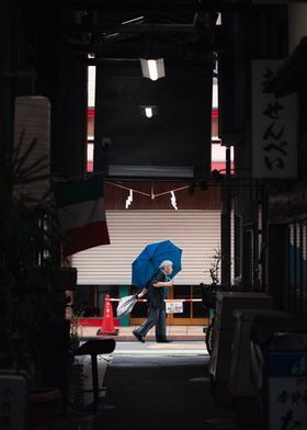 Quiet Stroll in Yanaka