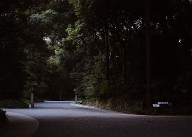 Morning Shadows in Yoyogi Park