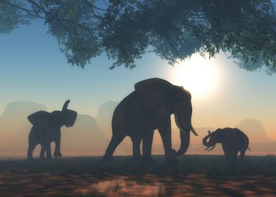 Elephant Family Silhouette