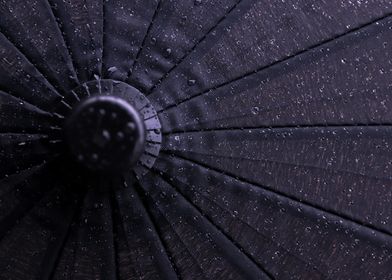 Black Umbrella with Raindrops