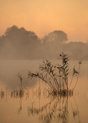 Misty Lake at Dawn