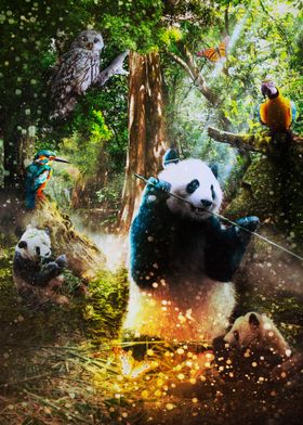 Panda in Enchanted Forest