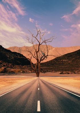 Lonely Road in Desert