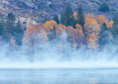 Misty Lake Landscape