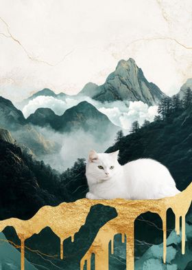 White Cat Mountain Landscape