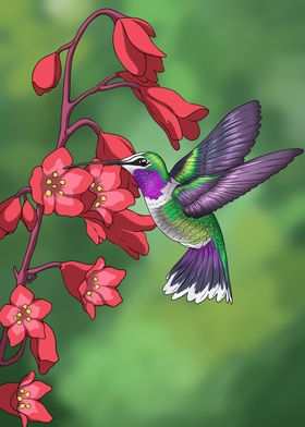 Hummingbird and Flowers