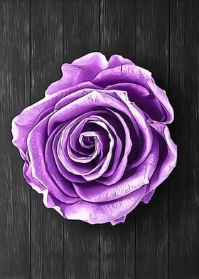 Purple Rose on Wood