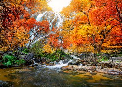 Autumn Waterfall