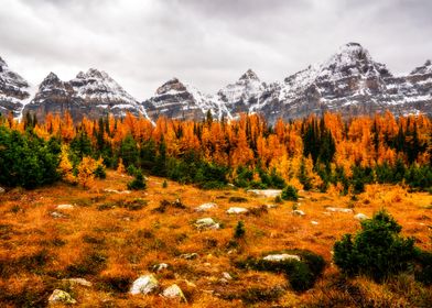 Autumn Mountain Landscape