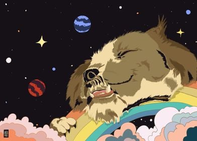 SLEEPING DOG IN SPACE SHIH TZU