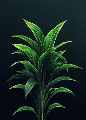 Green Plant on Black Background