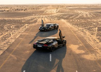 Black Lamborghinis in Desert