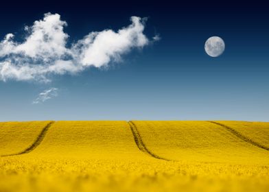 Yellow Field Under Moon