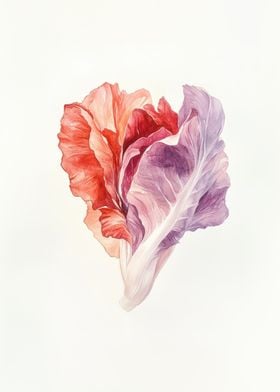 Watercolor Red and Purple Lettuce