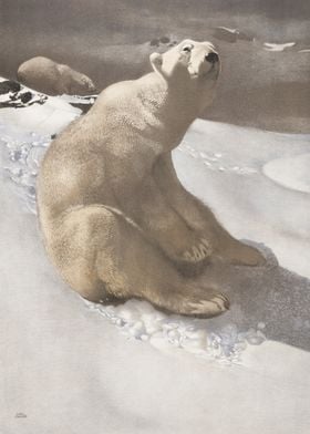 Polar Bear in Snowy Landscape