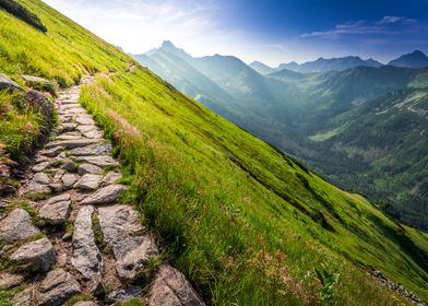 Mountain Path Landscape