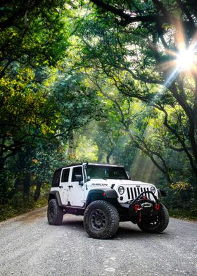 White Jeep in Forest