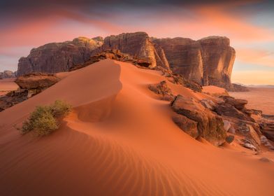 Desert Landscape at Sunset