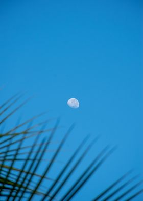 Moon in Blue Sky