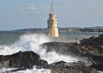 Lighthouse on Rocky Coast and Seagull, Bulgaria