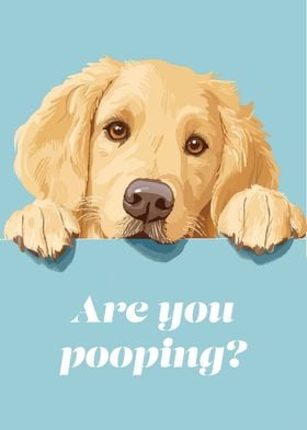 Golden Retriever Pooping