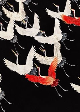 Red &amp; White Cranes Pattern